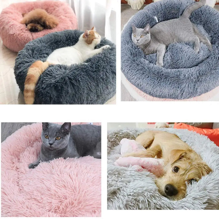 Cosy Calming Pet Bed