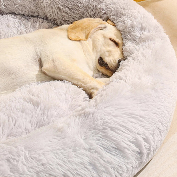 Paw Shaped Dog Bed