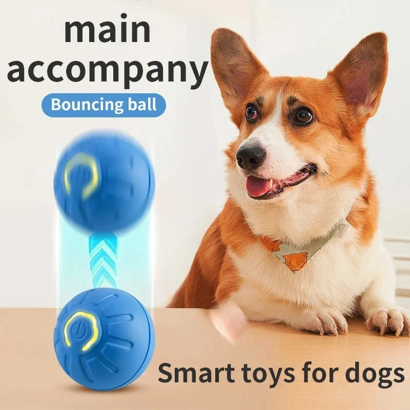 Chase Mate- Interactive Ball For Pets