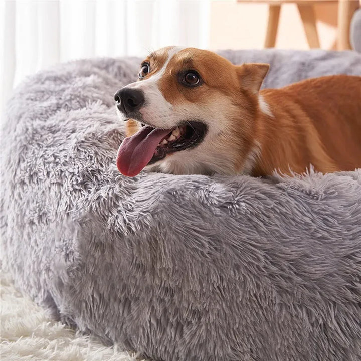 Cosy Calming Pet Bed