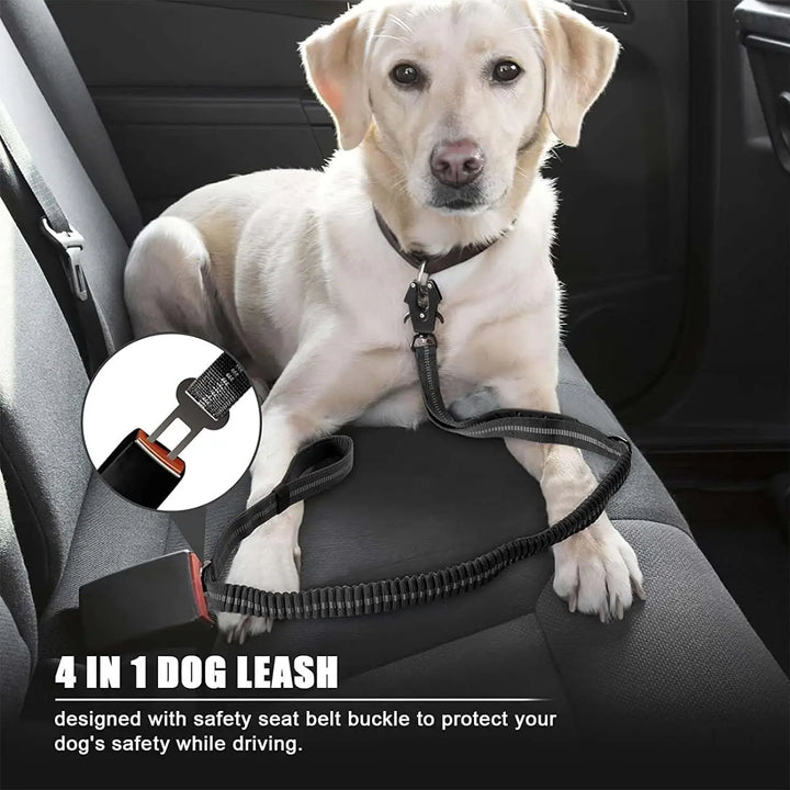 The Shock Absorbing Dog Leash- The 2 in 1 Dog Leash and Seat Belt