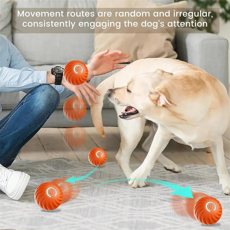 Chase Mate- Interactive Ball For Pets