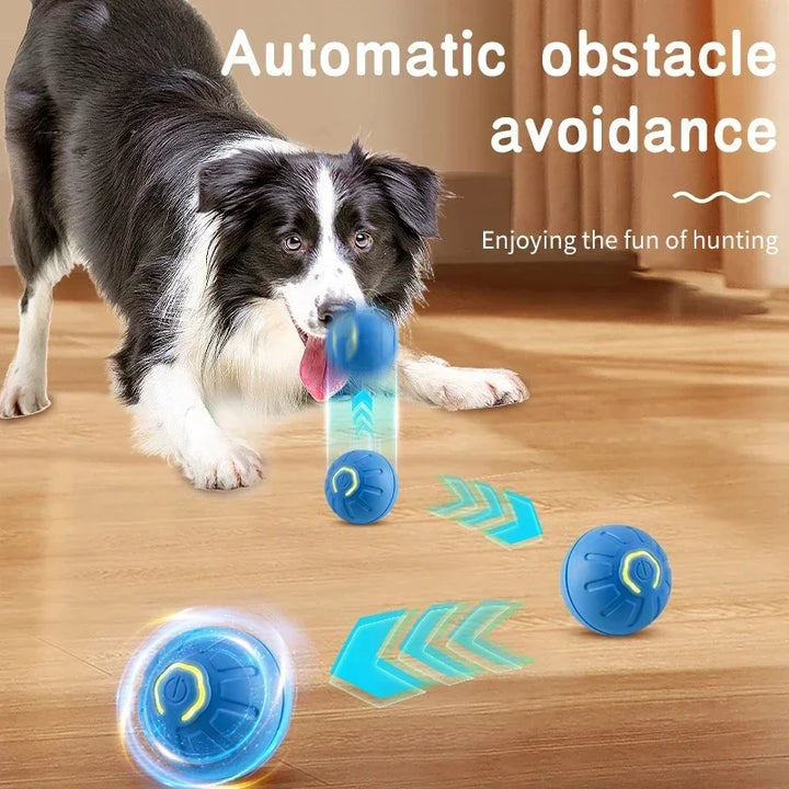 Chase Mate- Interactive Ball For Pets