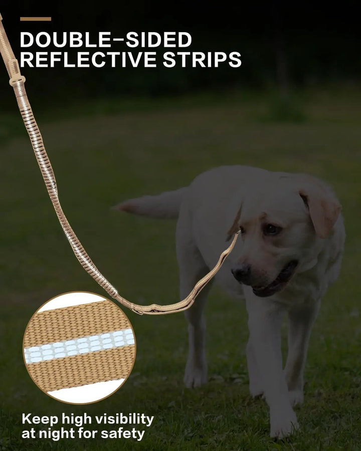 The Shock Absorbing Dog Leash- The 2 in 1 Dog Leash and Seat Belt