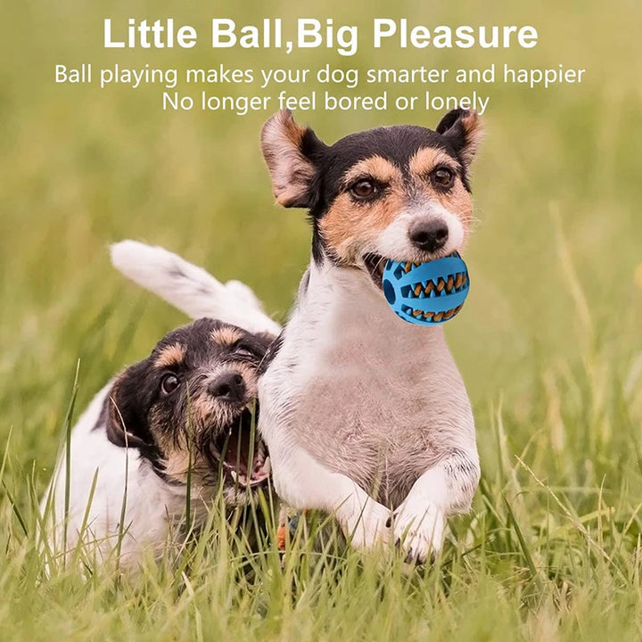 Chomp & Clean Ball-Dental Chew Ball