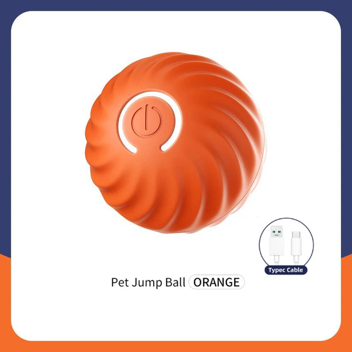 Chase Mate- Interactive Ball For Pets