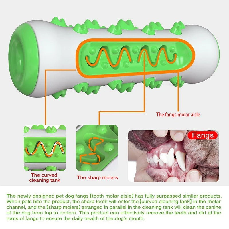 Molar Muncher-Dental Cleaning Dog Toy