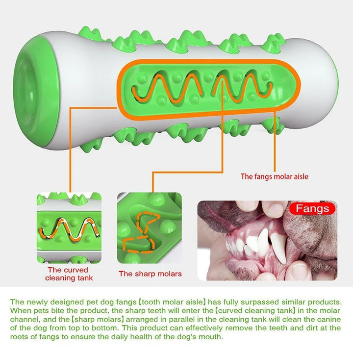 Molar Muncher-Dental Cleaning Dog Toy