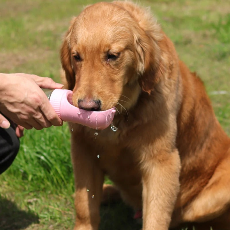 Pup Pack Feeder- Portable Pet Feeder