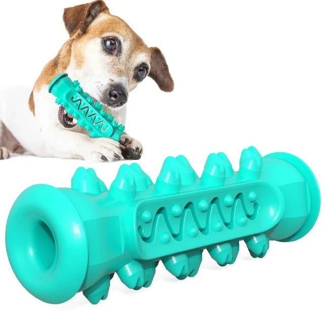 Molar Muncher-Dental Cleaning Dog Toy