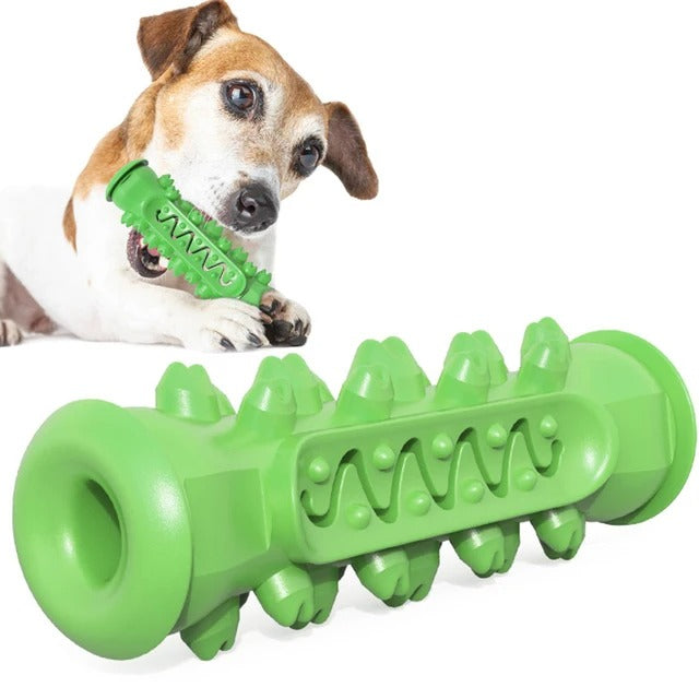 Molar Muncher-Dental Cleaning Dog Toy